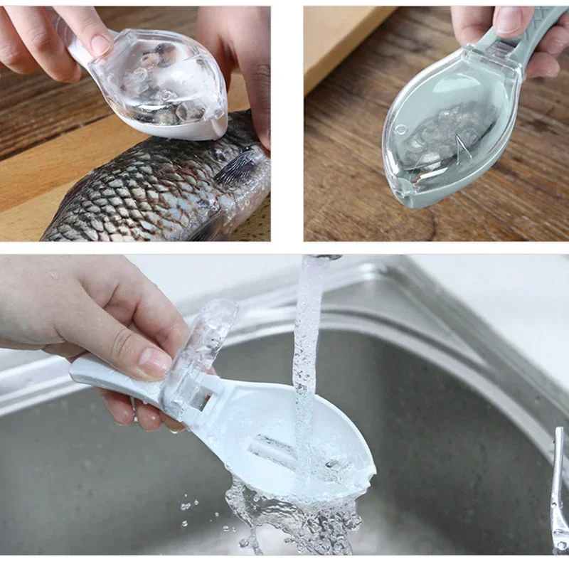 Escamas de peixe raladores ras - Fishing Equipment Kitchener avaliação e preço
