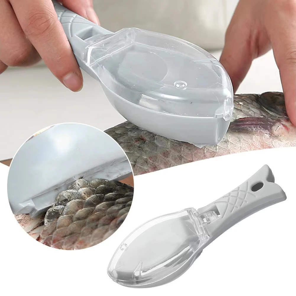 Escamas de peixe raladores ras - Fishing Equipment Kitchener avaliação e preço